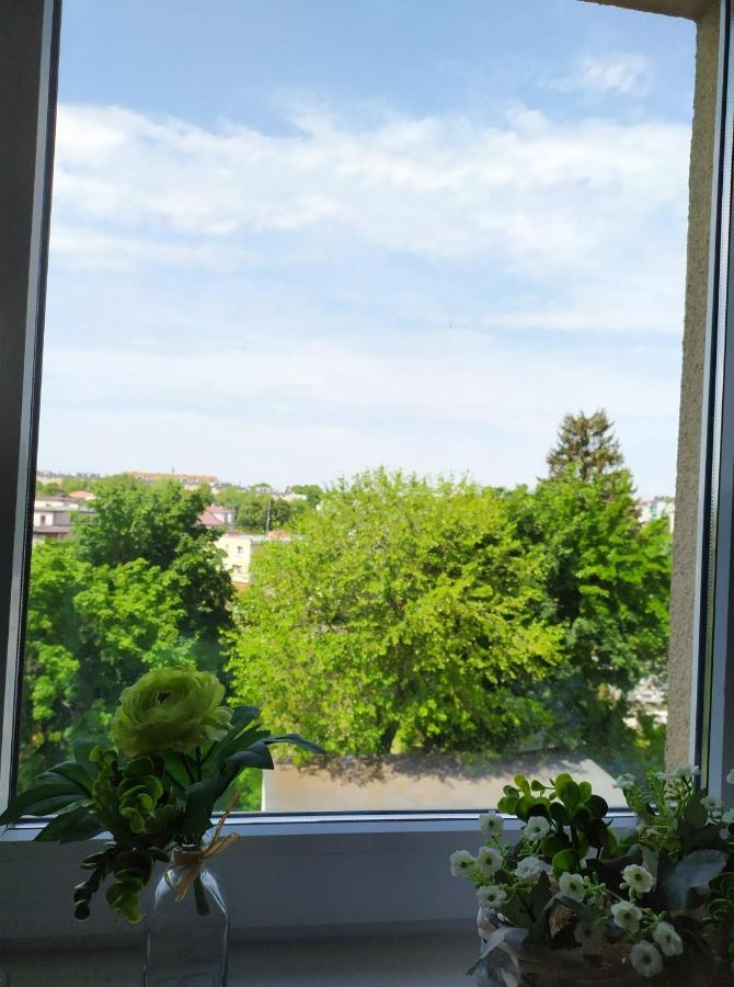 Juliusz Apartment Sandomierz Ngoại thất bức ảnh